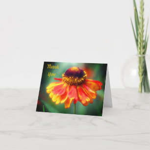 Soft Orange Jaune Zinnia Carte de remerciements