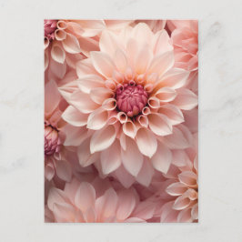 soft pastel colored dahlia flower  briefkaart