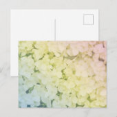 Soft Pastel Rainbow Hydrangea Briefkaart (Voorkant / Achterkant)