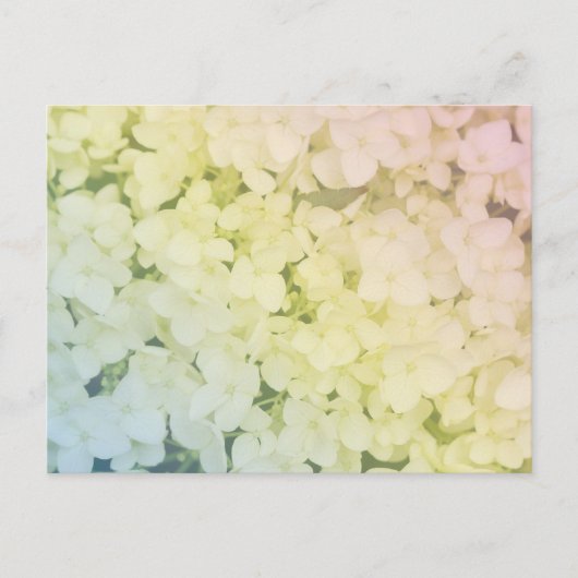 Soft Pastel Rainbow Hydrangea Briefkaart (Voorkant)