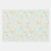 Soft Pastel Roos Pattern op Aqua achtergrond Inpakpapier Vel (Voorkant 3)