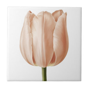 Soft Peach Tulip Botanical Art Design Tegeltje