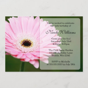 Soft Pink Gerbera Daisy Birthday Party Kaart