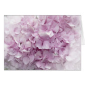 Soft Pink Hydrangea Blossom (Voorkant Horizontaal)