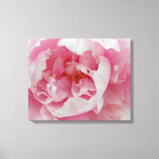 Soft Pink Peony Elegant Photo sur toile (Recto)