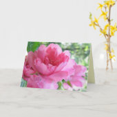 Soft Pink Rose Vriendschap Kaart (Gele Bloem)