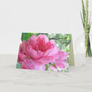 Soft Pink Rose Vriendschap Kaart