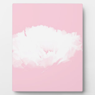 Soft Pink White Peony Floral Plaque Fotoplaat
