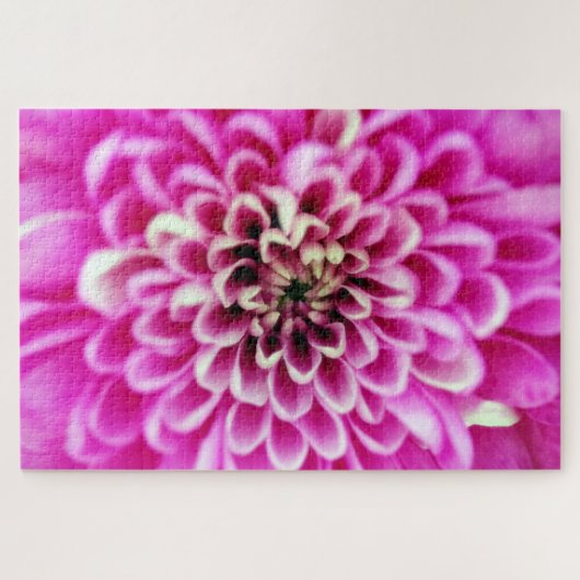 Soft Pinks Chrysanthemum Legpuzzel (Horizontaal)
