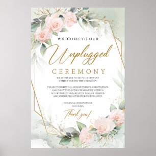 Soft roze rozen eucalyptus Gold niet-aangesloten c Poster