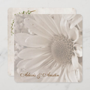 Soft Sepia Wedding Daisy Kaart