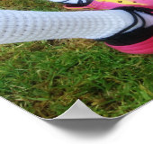 Soft Shoes & Crocs Print (Hoek)