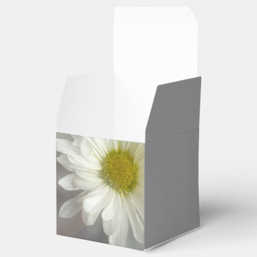 Soft White Daisy on Grey Wedding Bedankdoosjes (Geopend)