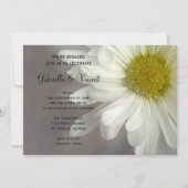 Soft White Daisy over Grey Engagement Party Kaart (Voorkant)