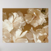 Soft White Floral Poster (Voorkant)