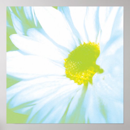 Soft White Flower Print (Voorkant)