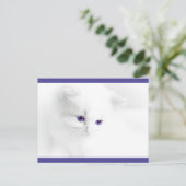 Soft White Kitten met Paarse ogen Briefkaart (Staand voorkant)