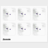 Soft White Kitten met Paarse ogen Vierkante Sticker (Vel)