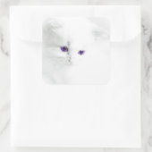 Soft White Kitten met Paarse ogen Vierkante Sticker (Tas)