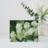 Soft Wild White Rambling Rozen Flowers Briefkaart (Staand voorkant)