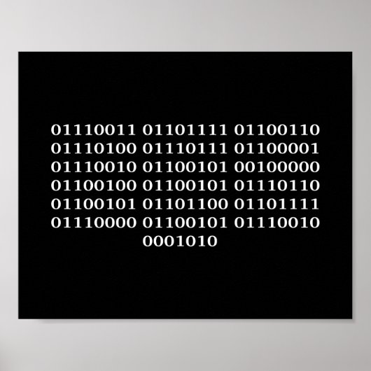 Softwareontwikkelaar Poster (Voorkant)