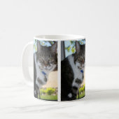 Softy Tabby Chat Mug (Devant gauche)