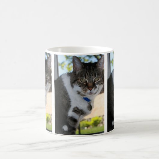 Softy Tabby Chat Mug (Centre)