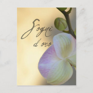 Sogni D'oro (zoete dromen) Orchid Briefkaart