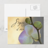Sogni D'oro (zoete dromen) Orchid Briefkaart (Voorkant / Achterkant)