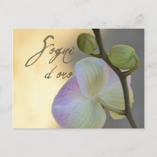 Sogni D'oro (zoete dromen) Orchid Briefkaart