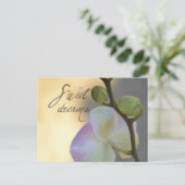Sogni D'oro (zoete dromen) Orchidee Briefkaart (Staand voorkant)