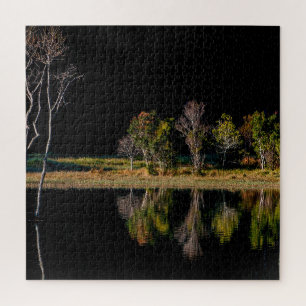 soi ball symmetrie sceneratie reflecteert legpuzzel