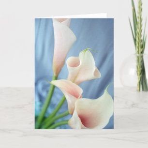 Soie Parade Blanc Calla Lily Photo Cartes