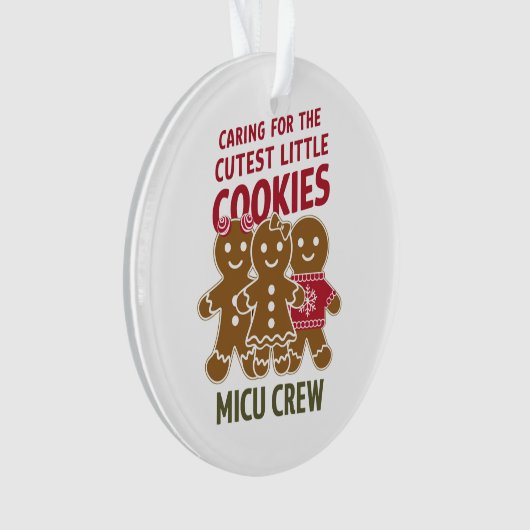 Soin Pour Les Petits Cookies Les Plus Croustillant (devant)