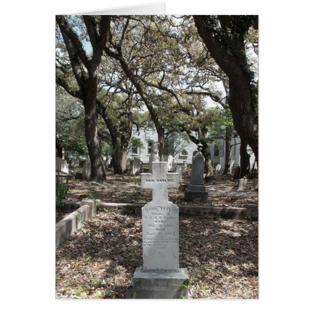 Soins d'amour (Devant)