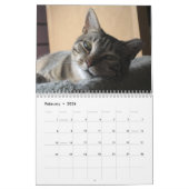 Soins du calendrier mural des bêtes perdues 2008 (Feb 2026)