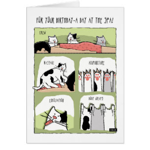 Soins Spas d'anniversaire avec chats