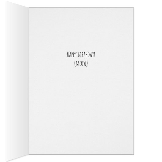 Soins Spas d'anniversaire avec chats (Intérieur (Droit))