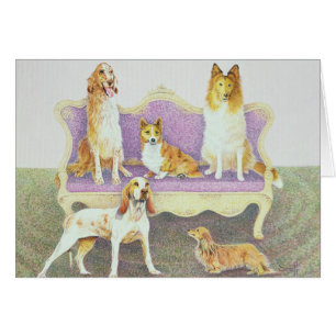 Soiree dans le salon