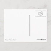 sojaschaap briefkaart (Achterkant)