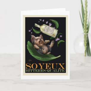 Sojoex Kaart