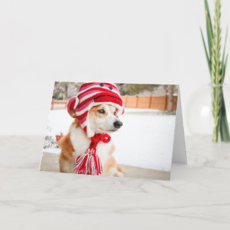 Sokken aap hoed Corgi blanco wenskaart Kaart