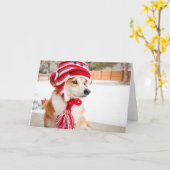 Sokken aap hoed Corgi lege wenskaart Kaart (Gele Bloem)