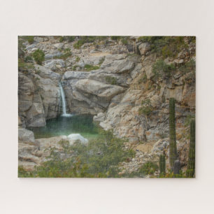 Sol de Mayo Waterfall   Santiago, Mexico Legpuzzel