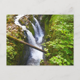 Sol Duc Falls I in Olympic National Park Briefkaart