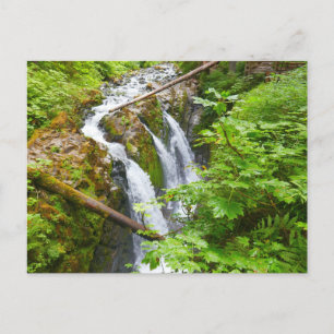Sol Duc Falls II in Olympic National Park Briefkaart