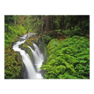 Sol Duc Falls in Olympic National Park in Foto Afdruk