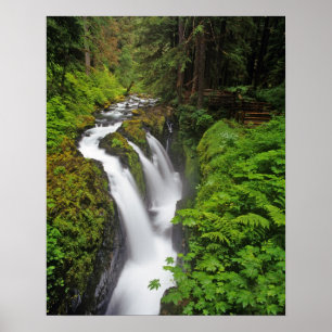 Sol Duc Falls in Olympic National Park in Poster
