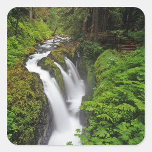 Sol Duc Falls in Olympic National Park in Vierkante Sticker