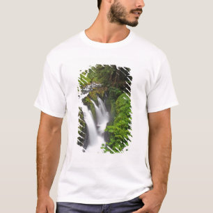 Sol Duc Falls in Olympic National Park in Washingt T-shirt